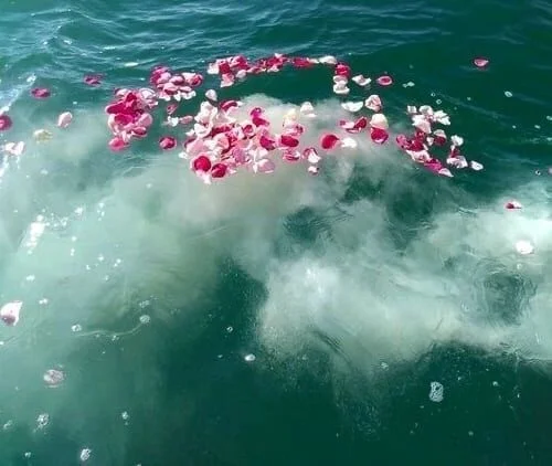 Scattering ashes at sea on a private Six Fins memorial charter from Key West