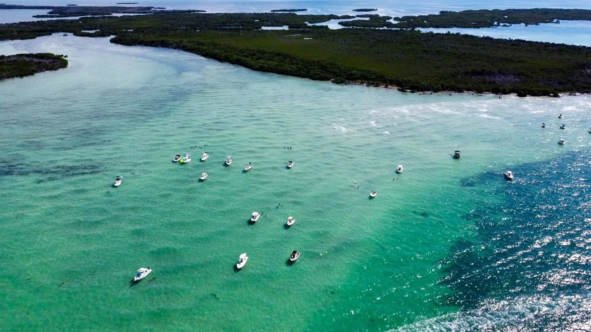 Jewfish Basin Sandbar north of Key West — expansive shallow water and backcountry views